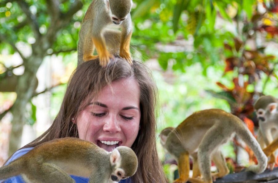 Punta Cana: Triple Jungle Adventure Park Tour with Tastings - Who should book this Punta Cana day trip?