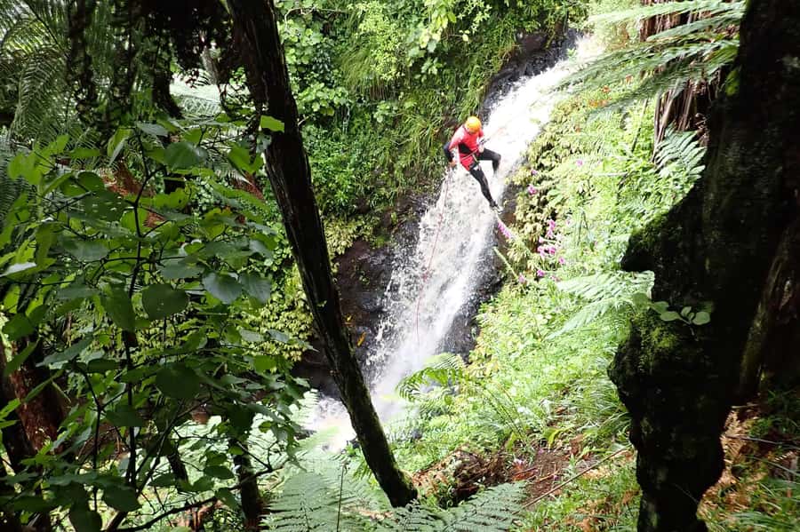 Raglan: Karioi Canyoning - Key points to know before booking