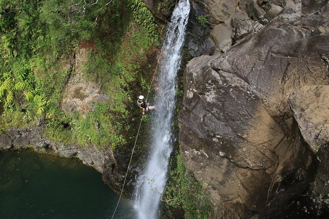 Rappel Maui Waterfalls and Rainforest Cliffs - Rappelling near the Road to Hana