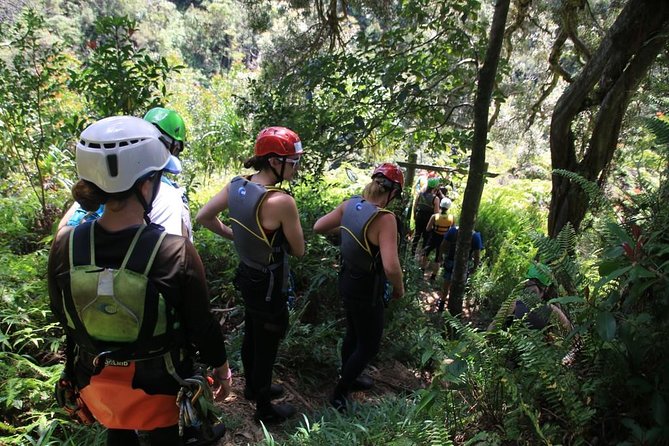 Rappel Maui Waterfalls and Rainforest Cliffs - Why the $240.84 price can make sense