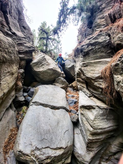 Santa Cruz de Tenerife: Vilaflor Canyoning Tour - The walk out through Canary pine trees
