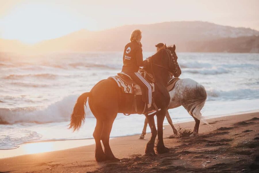 Santorini: Extreme Horse Safari with Beach Gallop - Key points to know before booking