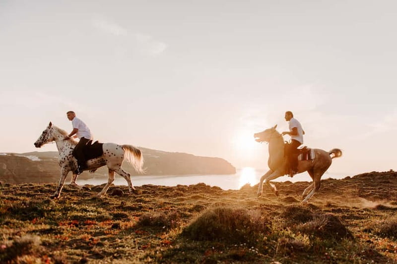 Santorini: Extreme Horse Safari with Beach Gallop - Who should book this ride