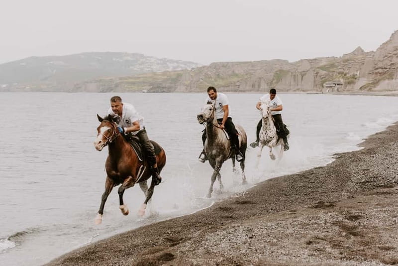 Santorini: Extreme Horse Safari with Beach Gallop - Starting in Megalochori among vineyards and village lanes