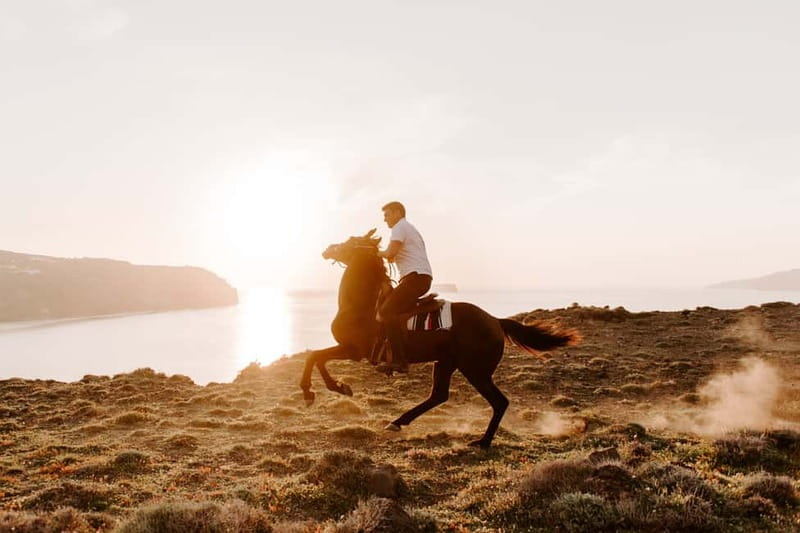 Santorini: Extreme Horse Safari with Beach Gallop - What $176 gets you