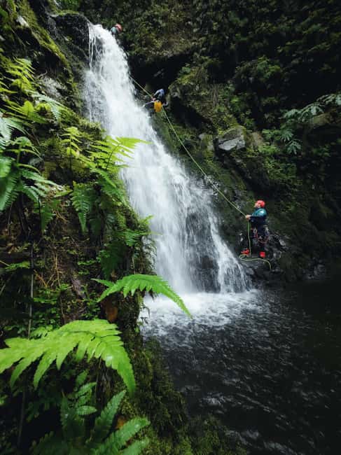 São Miguel: Level 1 Canyoning in Ribeira dos Caldeirões - Rappelling down waterfalls up to 8 meters