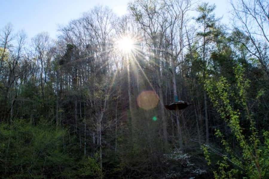 Sevierville: Extreme Mountain Zip Lining Adventure - Views across Foxfire Valley and Dunn’s Creek