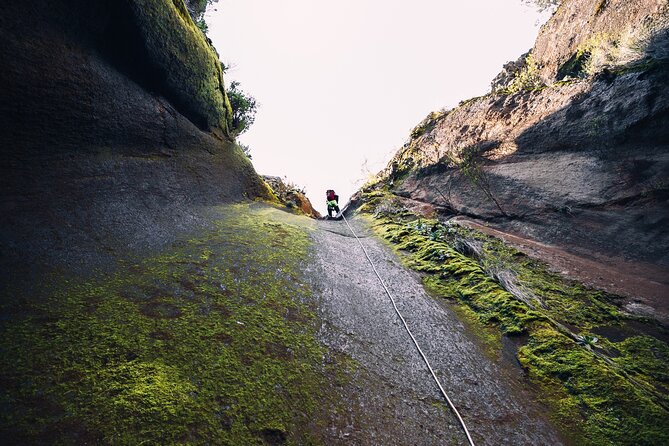 Small-Group Half-Day Canyoning in La Orotava - Starting at Mirador de La Bermeja at 9:30