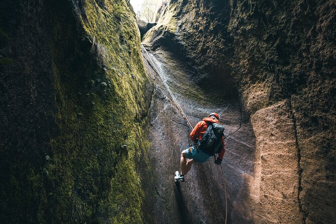 Small-Group Half-Day Canyoning in La Orotava - Is $96.55 good value?