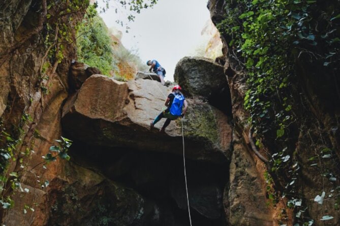 Small-Group Half-Day Canyoning in La Orotava - Who should book this La Orotava adventure?