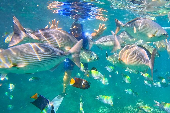 Snorkeling at Los Arcos 5 islands Hidden Beach and Cliff Jumping - Rock jumping near Los Arcos