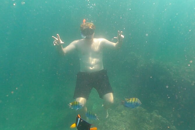 Snorkeling at Los Arcos 5 islands Hidden Beach and Cliff Jumping - Who will enjoy this Puerto Vallarta outing?