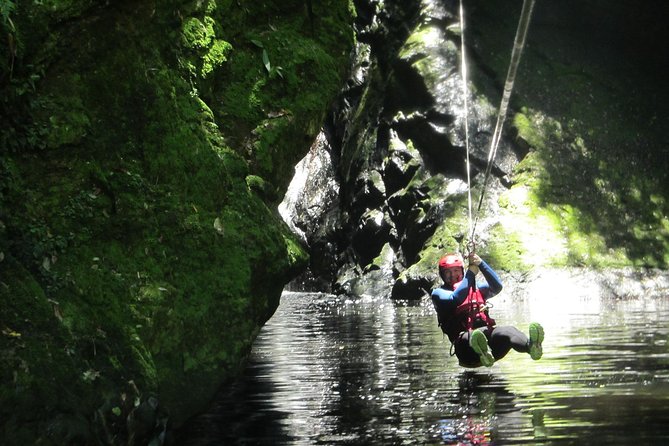 Standard Canyoning Trip in The Crags, South Africa - A short ride into indigenous forest