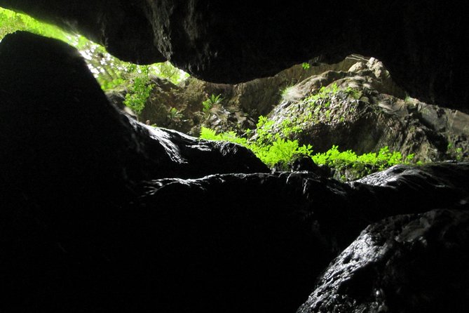 Standard Canyoning Trip in The Crags, South Africa - How much value do you get for $60.68?