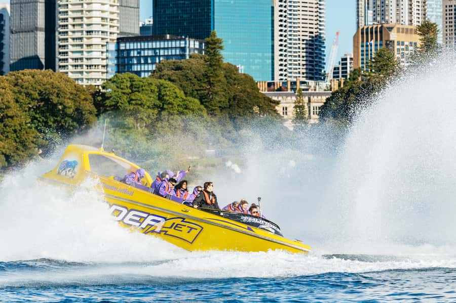 Sydney Harbour: Thunder Thrill Jet Boat Ride - The skipper matters as much as the boat
