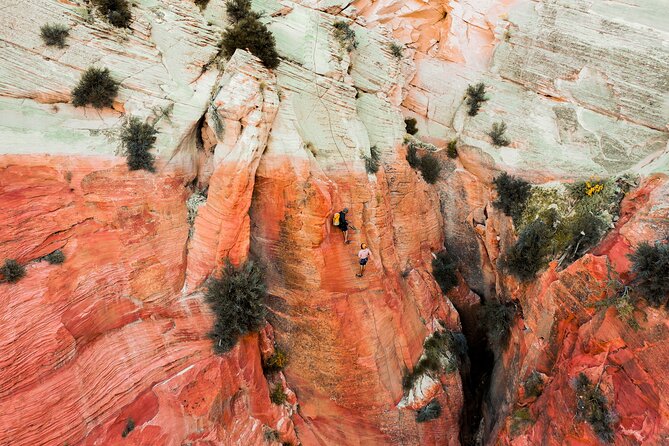 "Tallest in Utah" Via Ferrata & Rappelling (4 hr) - Key points to know before you book
