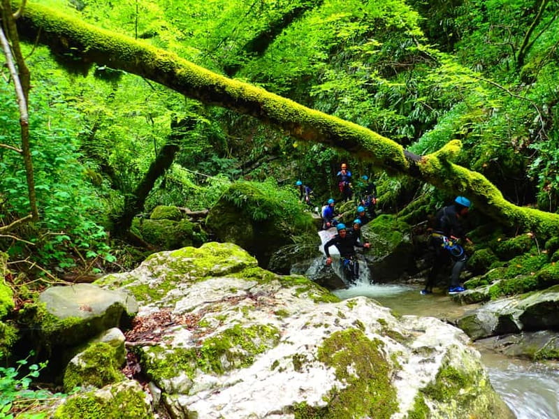 Talloires: Guided Canyoning Experience in Angon Canyon - Lake Annecy views between the technical sections