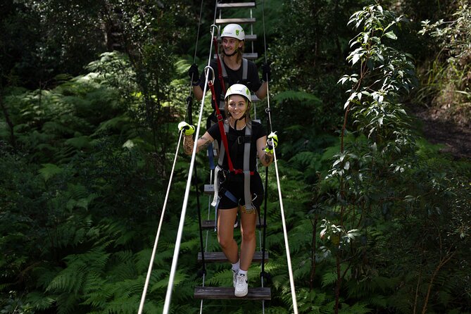 Tamborine Mountain TreeTop Challenge Adventure Park - Key points to know before you climb