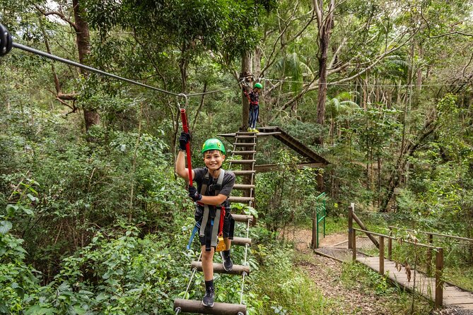 Tamborine Mountain TreeTop Challenge Adventure Park - The three-part setting: Tamborine Mountain, Thunderbird Park, and TreeTop Challenge