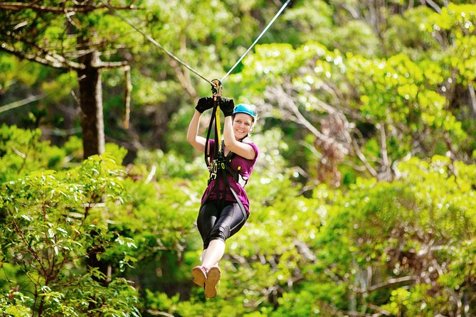 Tamborine Mountain TreeTop Challenge Adventure Park - How the eight courses build in difficulty
