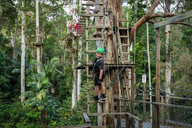 Tamborine Mountain TreeTop Challenge Adventure Park - Who should book this adventure?
