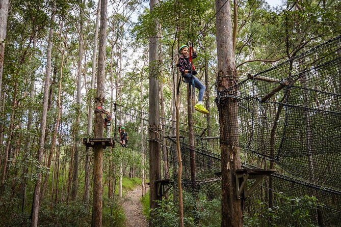 Tamborine Mountain: TreeTop Challenge Adventure Park - Starting with the first four easy courses