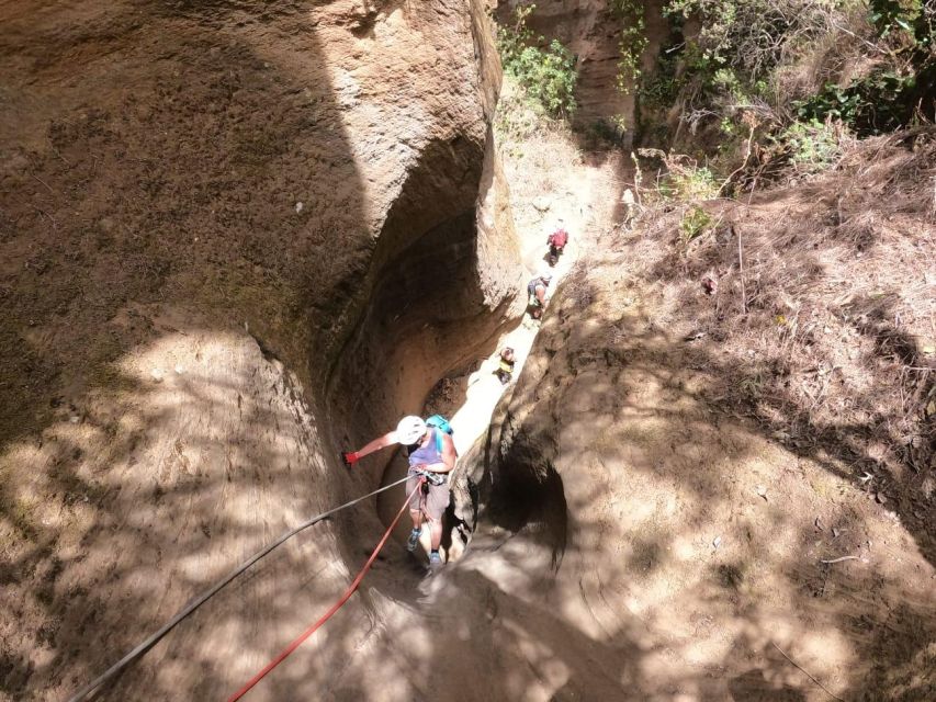 Tenerife: Guided Canyoning Experience in Los Arcos - Who should book this canyoning trip?