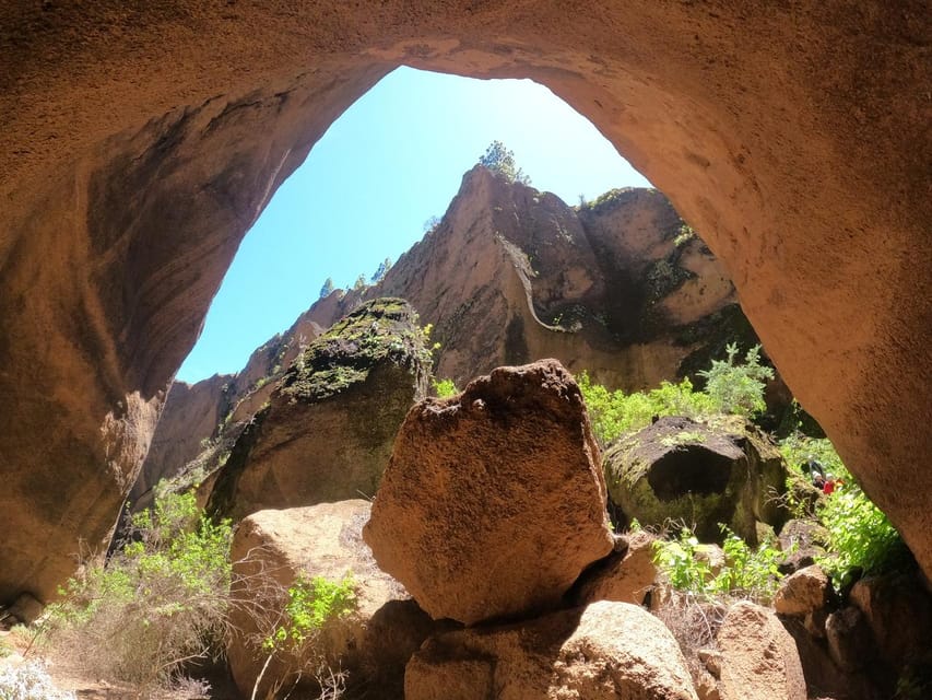 Tenerife: Guided Canyoning Experience in Los Arcos - The scenery, plants, and fire recovery