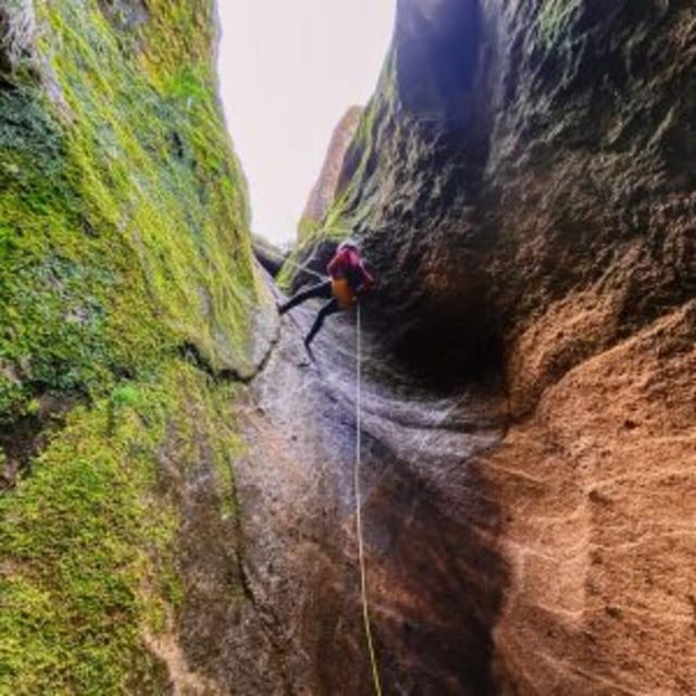 Tenerife: Guided Canyoning Experience in Los Arcos - The final walk back to Casa Forestal