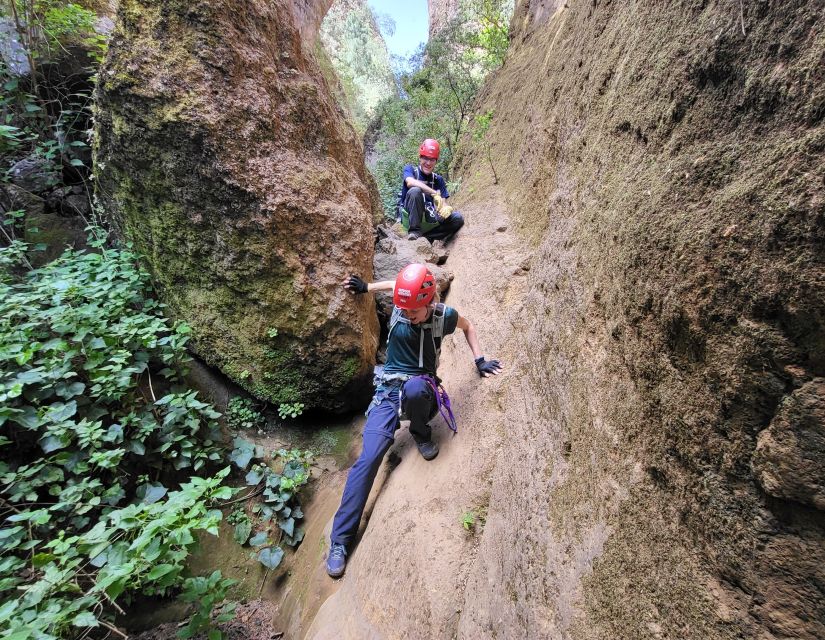 Tenerife: Los Arcos Canyoning Tour with Guide - Eight rappels through orange and moss-covered rock