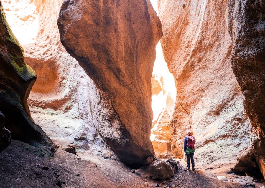 Tenerife: Los Arcos Canyoning Tour with Guide - What the guide adds to the day