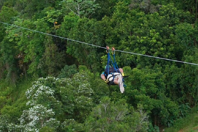 The Beast Zipline at Toroverde Adventure Park in Puerto Rico - What the 4,745-foot flight feels like