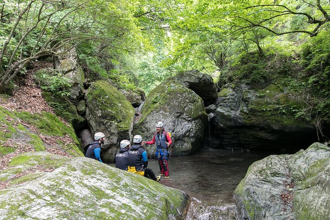 Tokyo Half-Day Canyoning Adventure - What the $60.97 price really covers