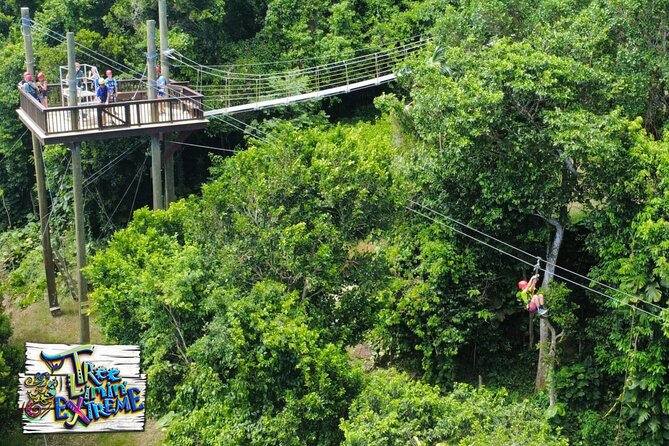 Tree Limin' Extreme Zipline - Safety, nerves, and the first-time experience