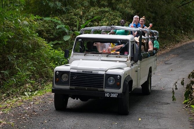 Treetop Adventure Park Canopy Tour - The ride from Castries to the rainforest