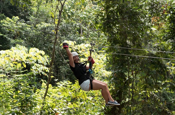 Treetop Adventure Park Canopy Tour - Timing, groups, and the return ride