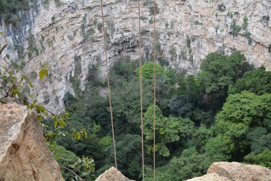 Tuxtla Gutiérrez: Sinkhole of Parrots Full-Day Rappel - Is the $175 Price Fair?