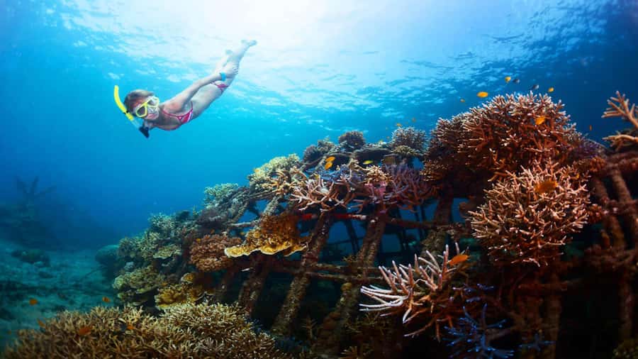 Ubud: Tegenungan Waterfall, Snorkeling, and Canyoning Tour - Five things to know before booking
