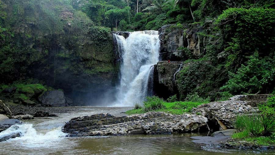 Ubud: Tegenungan Waterfall, Snorkeling, and Canyoning Tour - The guides are part of what you are paying for