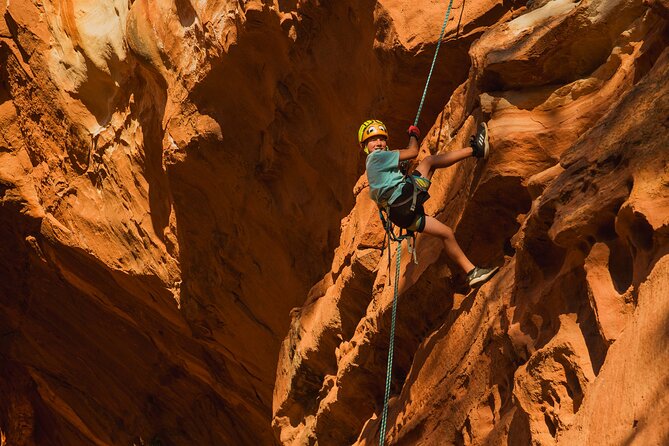 UTV Ride Climb and Rappel "Window to the Dunes" Experience - The value of $139 per person